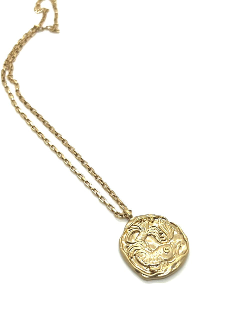 Modish Pisces Pedant and Chain