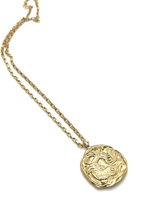 Modish Pisces Pedant and Chain